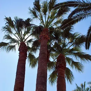 Appartement Les Palmeres Castell-Platja d'Aro